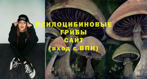 метадон Арсеньев