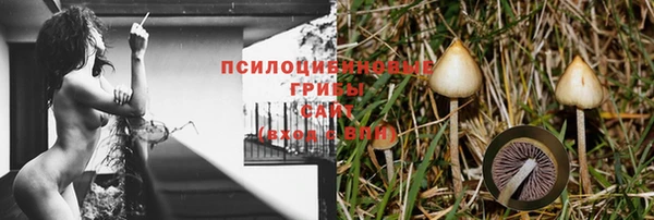 метадон Арсеньев