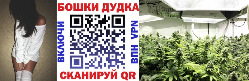 Шишки марихуана Amnesia  даркнет сайт  Слюдянка 